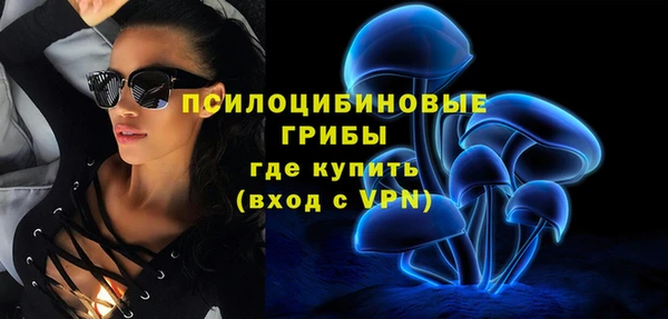 молекула духа Майский