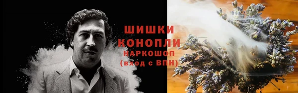 дживик Магас