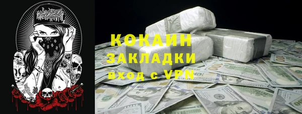 молекула духа Майский