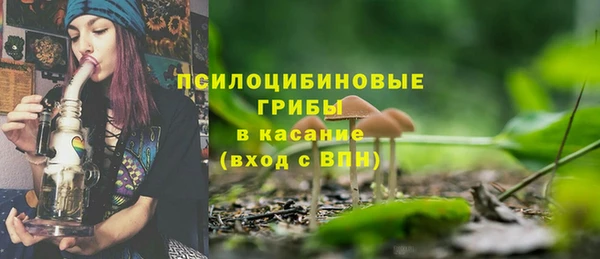 дживик Магас